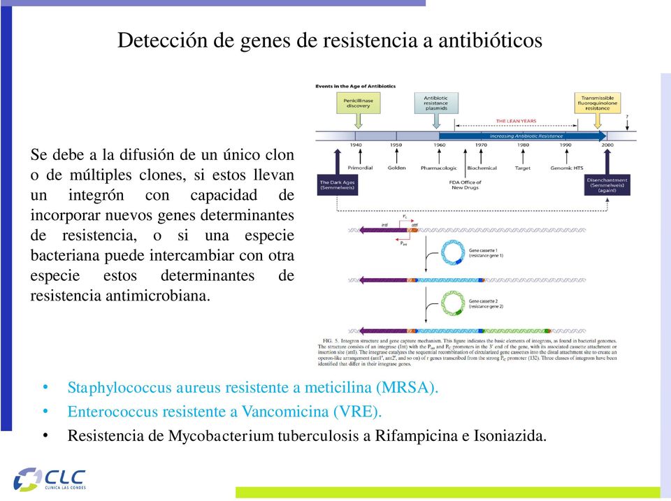 intercambiar con otra especie estos determinantes de resistencia antimicrobiana.
