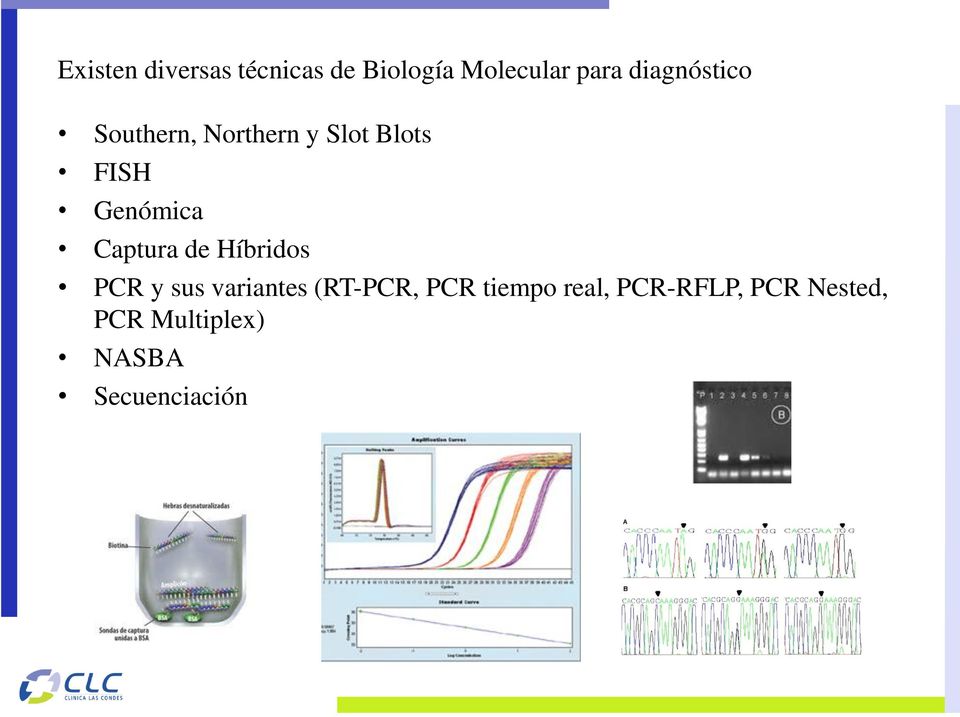 Captura de Híbridos PCR y sus variantes (RT-PCR, PCR