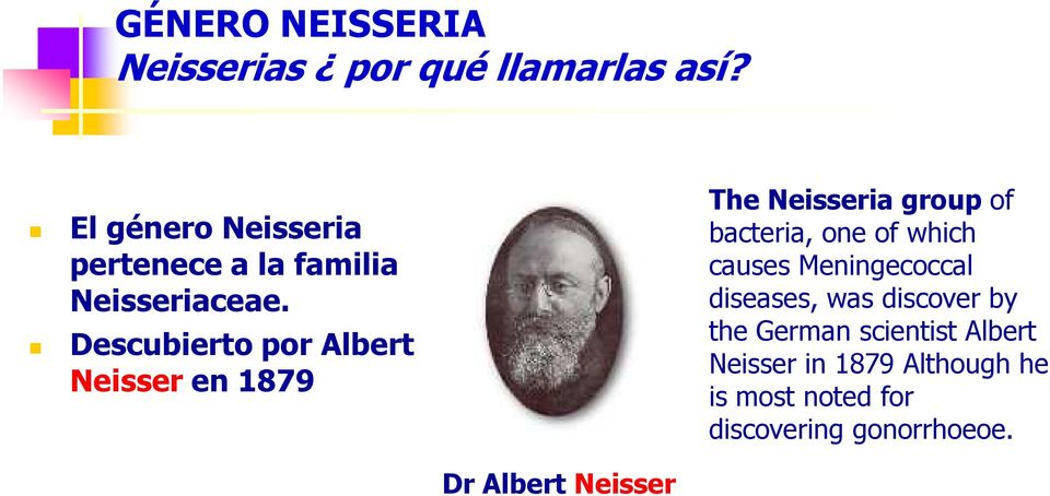 Descubierto por Albert Neisser en 1879 The Neisseria group of bacteria, one of which