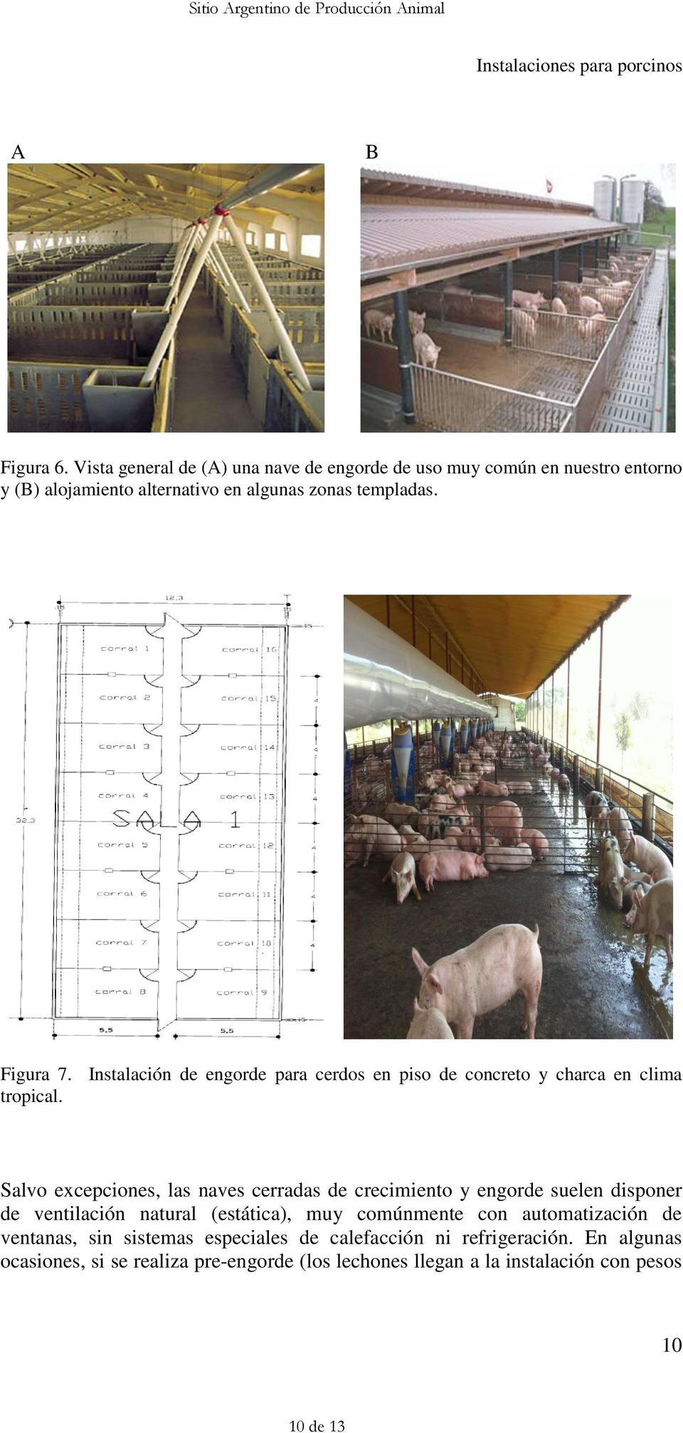 Figura 7. Instalación de engorde para cerdos en piso de concreto y charca en clima tropical.