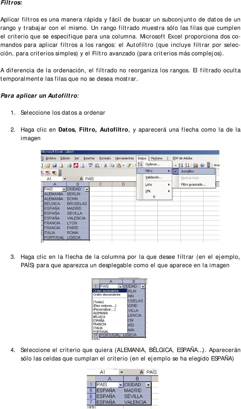 Microsoft Excel proporciona dos comandos para aplicar filtros a los rangos: el Autofiltro (que incluye filtrar por selección, para criterios simples) y el Filtro avanzado (para criterios más