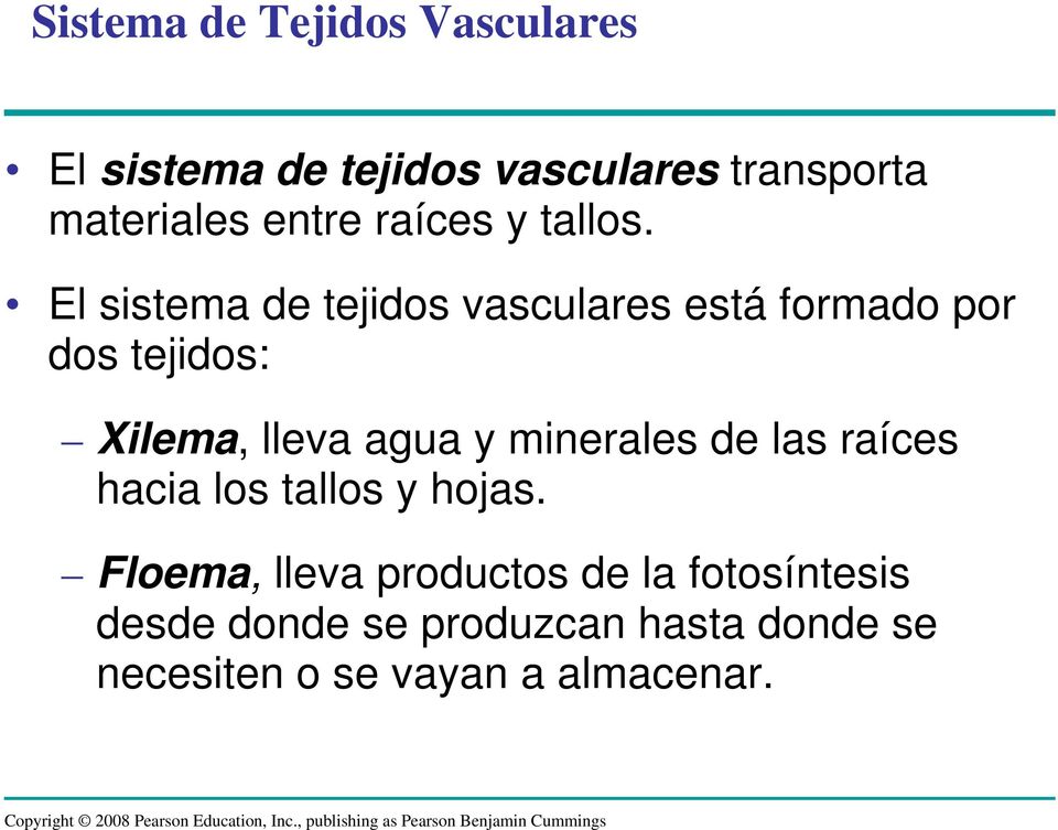 El sistema de tejidos vasculares está formado por dos tejidos: Xilema, lleva agua y