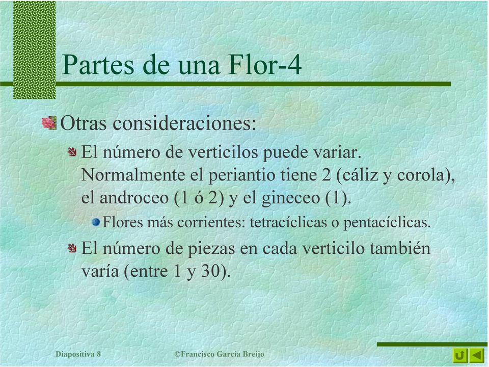 gineceo (1). Flores más corrientes: tetracíclicas o pentacíclicas.