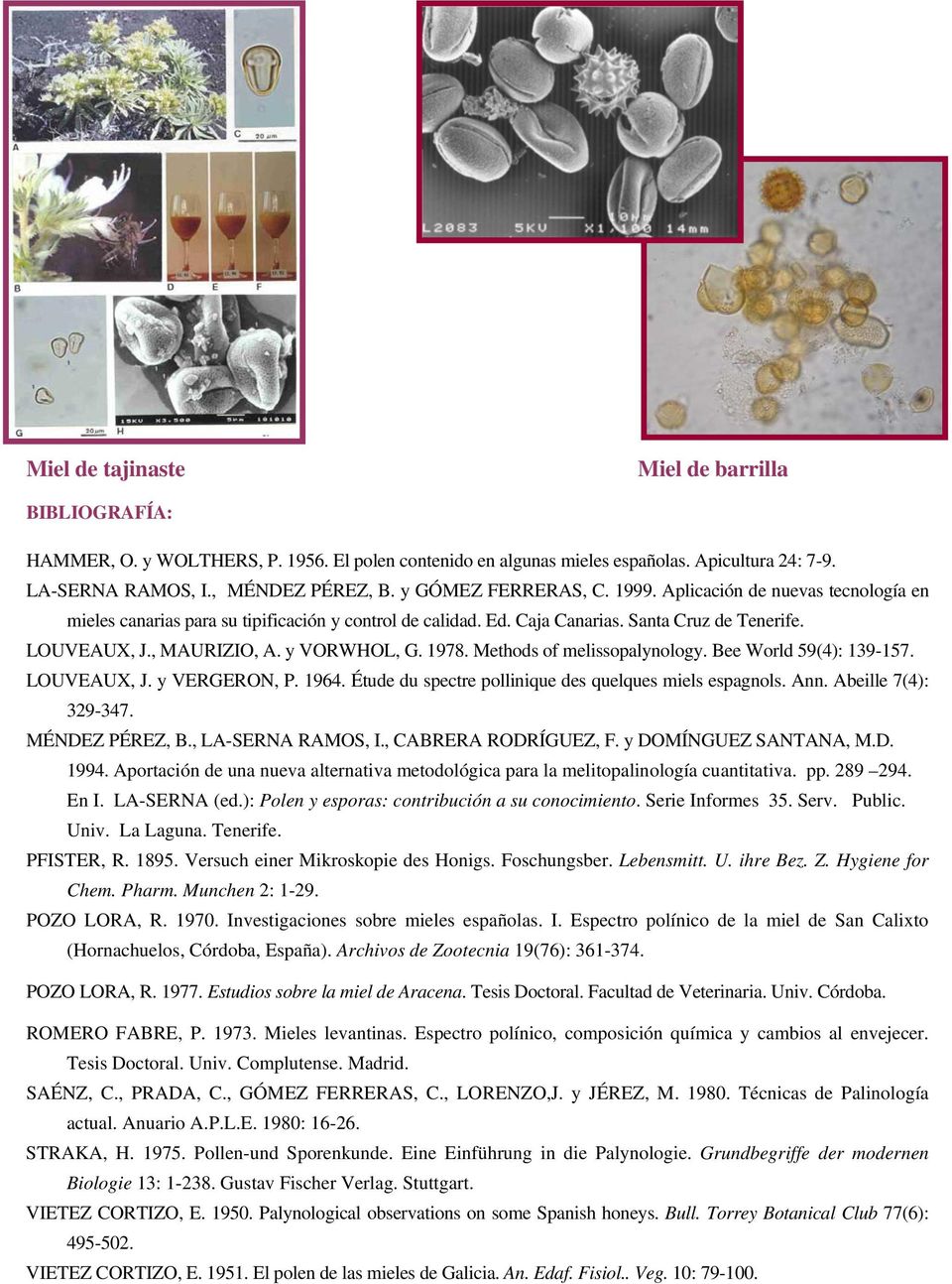 y VORWHOL, G. 1978. Methods of melissopalynology. Bee World 59(4): 139-157. LOUVEAUX, J. y VERGERON, P. 1964. Étude du spectre pollinique des quelques miels espagnols. Ann. Abeille 7(4): 329-347.