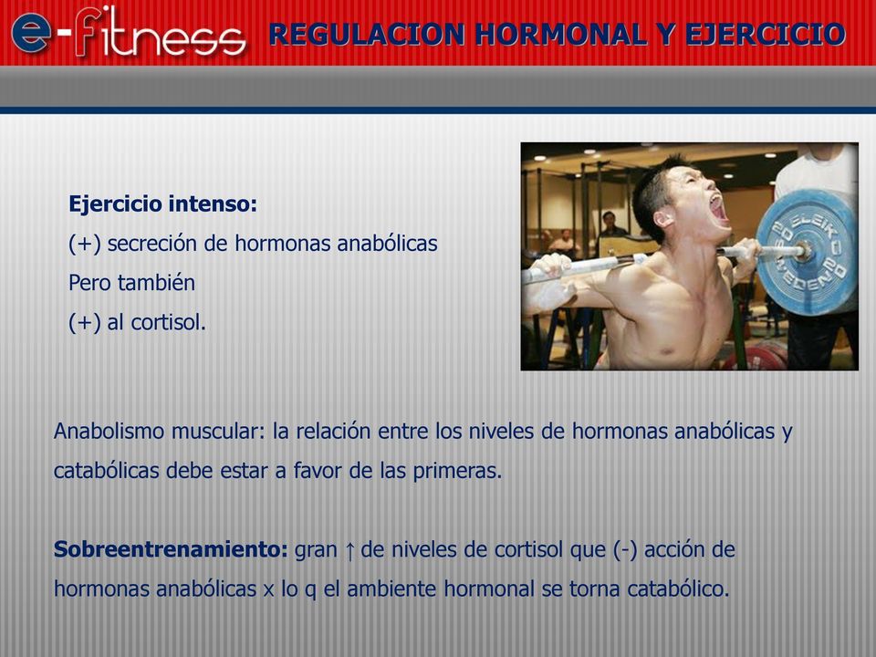 Anabolismo muscular: la relación entre los niveles de hormonas anabólicas y catabólicas debe