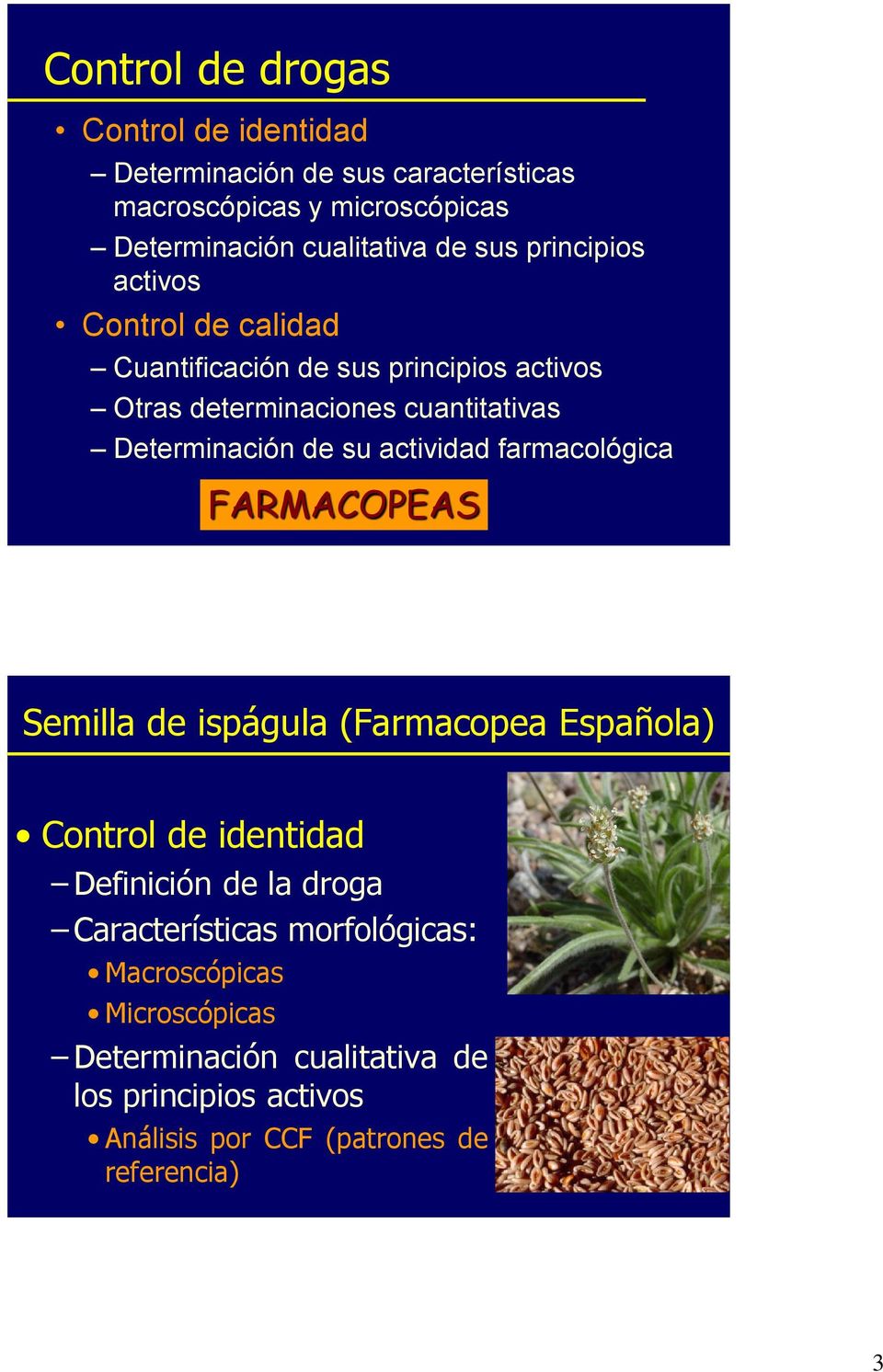 su actividad farmacológica FARMACOPEAS Semilla de ispágula (Farmacopea Española) Control de identidad Definición de la droga