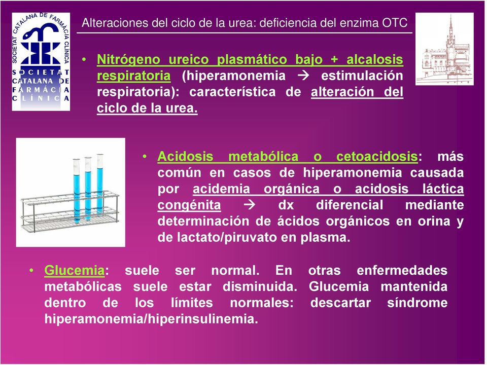 Acidosis metabólica o cetoacidosis: más común en casos de hiperamonemia causada por acidemia orgánica o acidosis láctica congénita dx