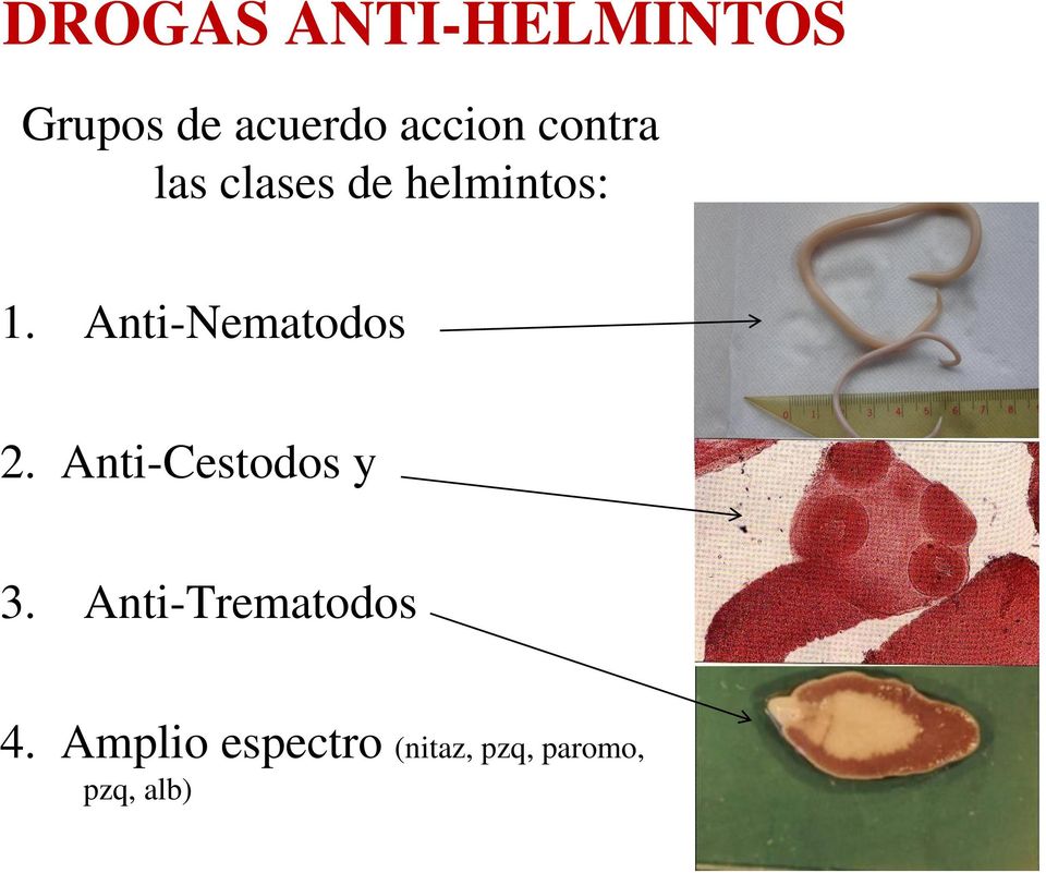 Anti-Nematodos 2. Anti-Cestodos y 3.