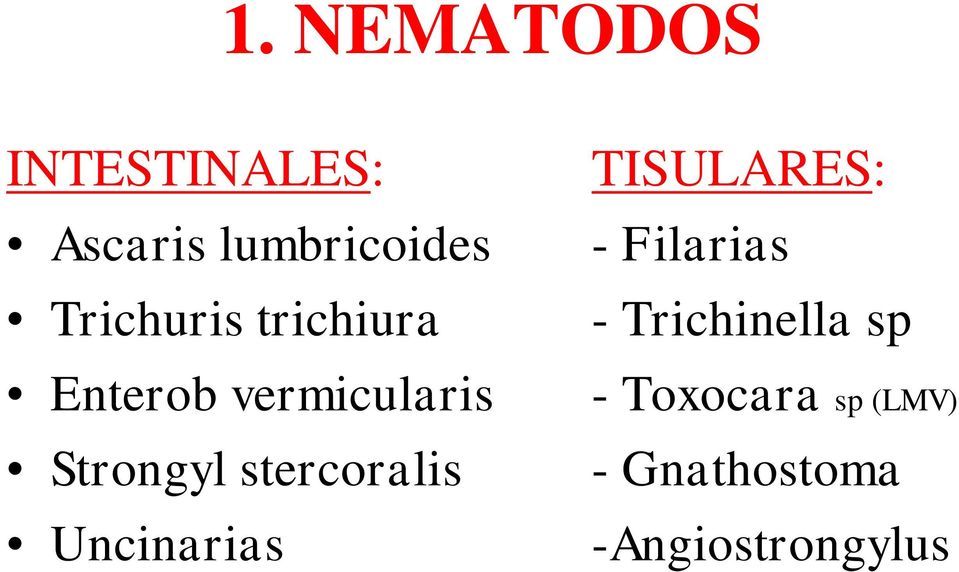 stercoralis Uncinarias TISULARES: - Filarias -