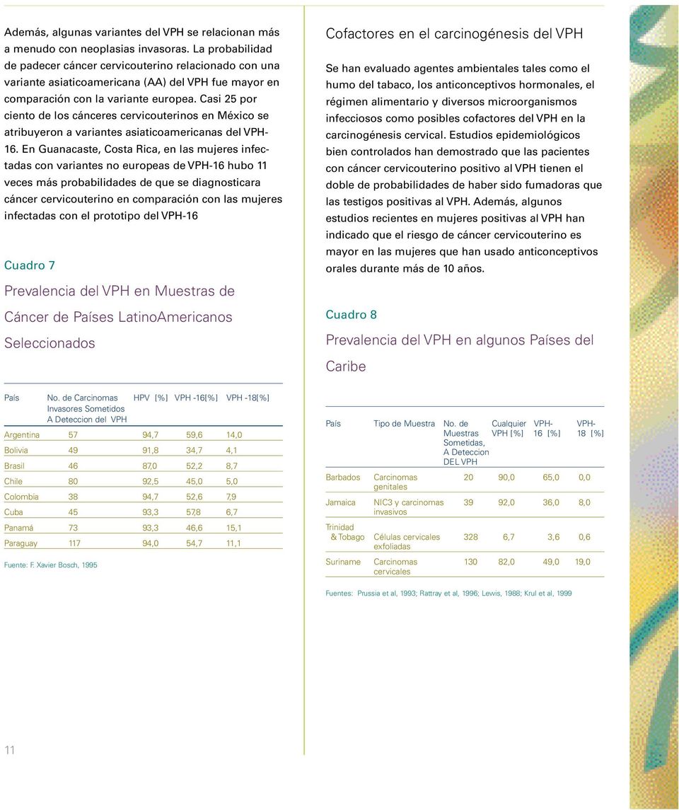 Casi 25 por ciento de los cánceres cervicouterinos en México se atribuyeron a variantes asiaticoamericanas del VPH- 16.
