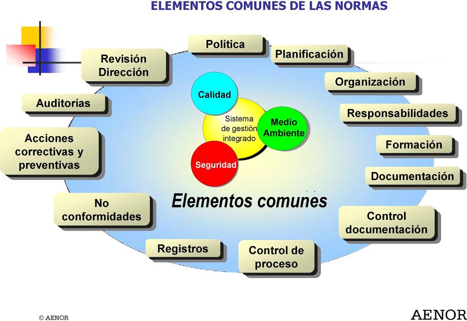 gestión integrado Medio Ambiente Elementos comunes Registros Planificación
