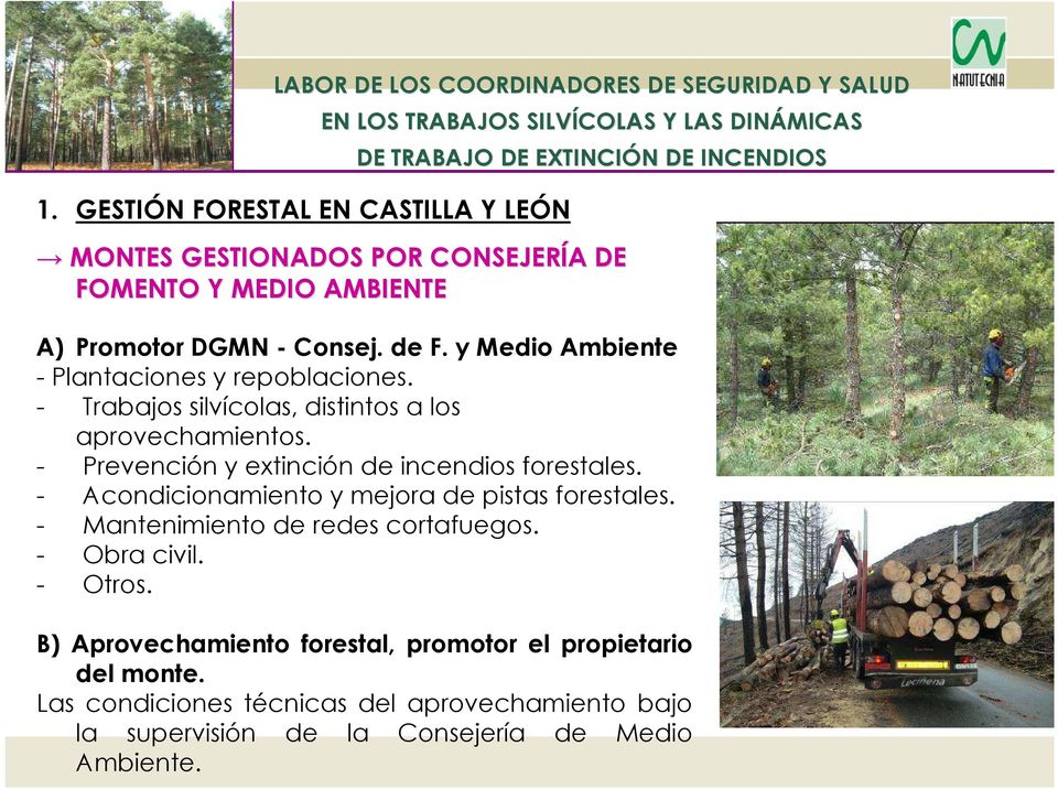 - Prevención y extinción de incendios forestales. - Acondicionamiento y mejora de pistas forestales. - Mantenimiento de redes cortafuegos.