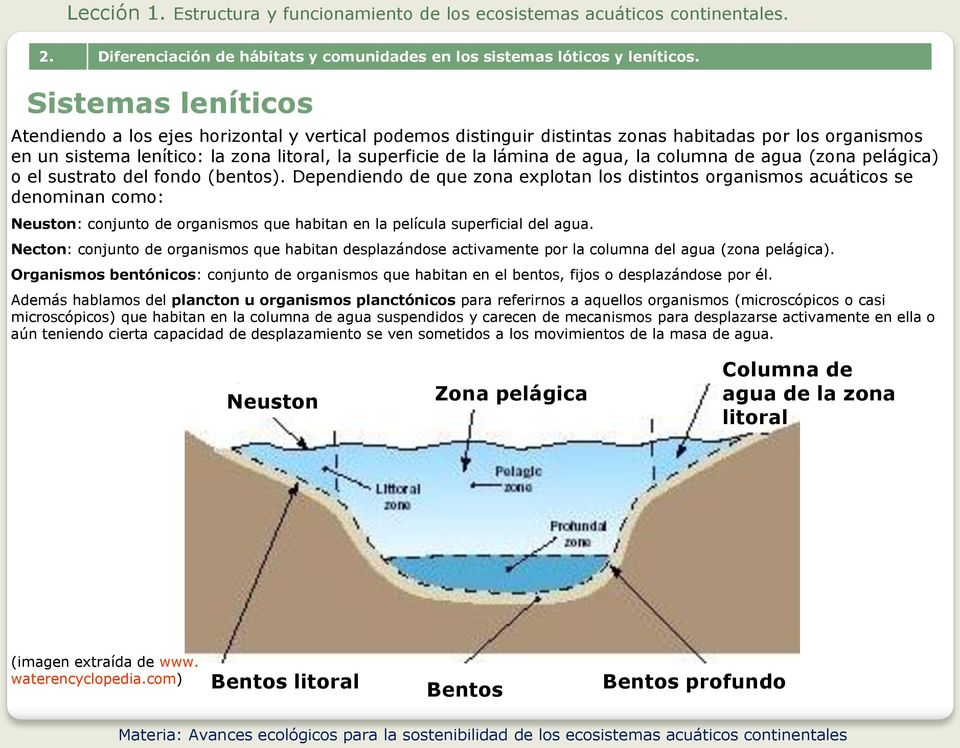 agua, la columna de agua (zona pelágica) o el sustrato del fondo (bentos).