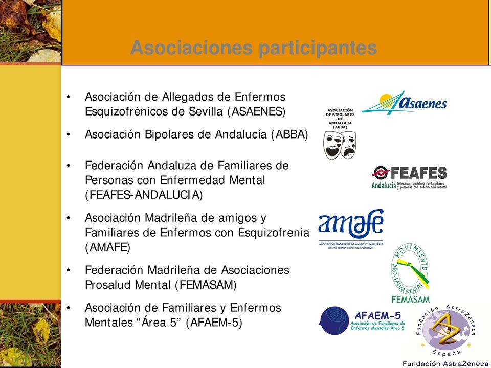 (FEAFES-ANDALUCIA) Asociación Madrileña de amigos y Familiares de Enfermos con Esquizofrenia (AMAFE)