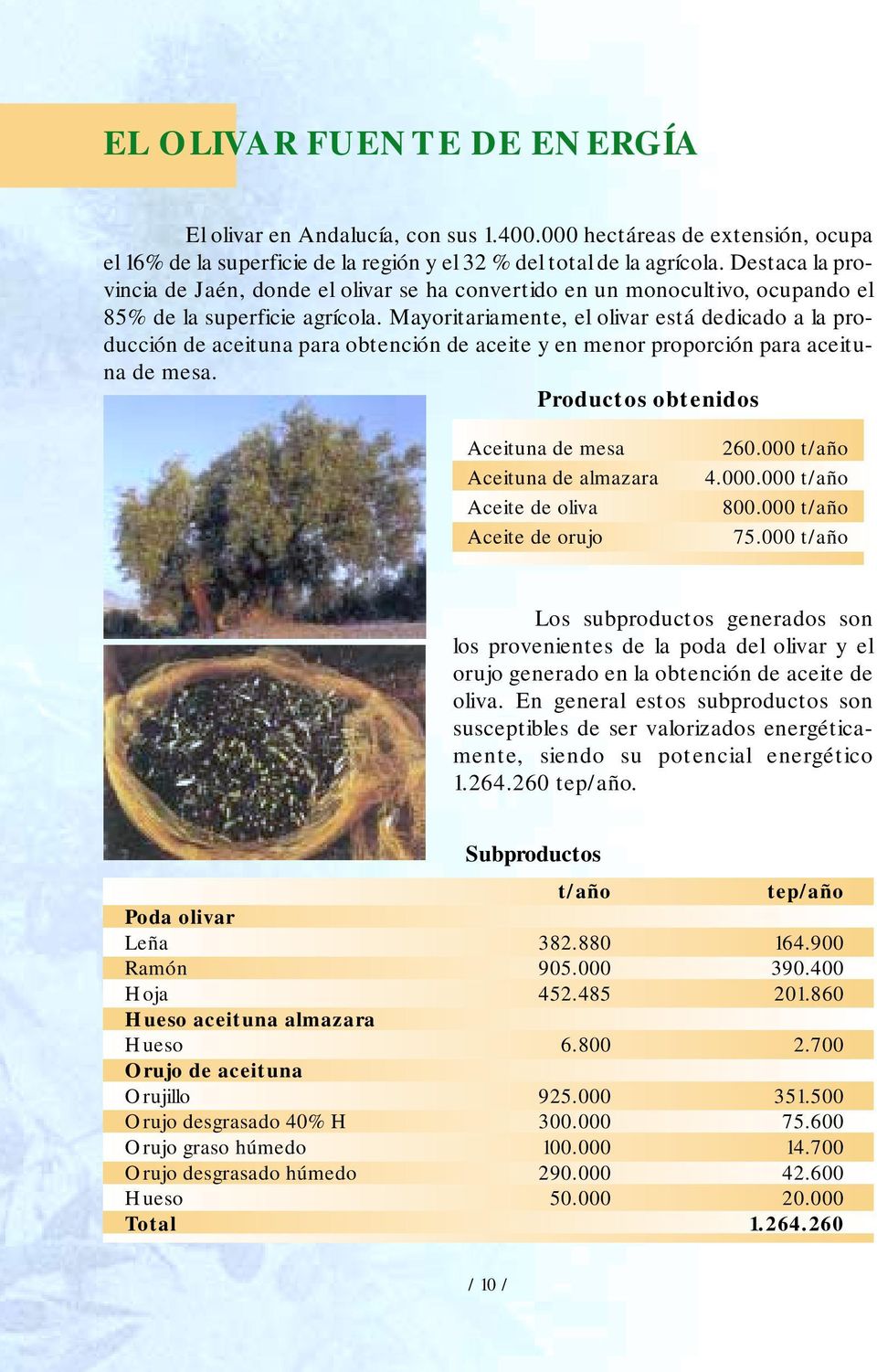Mayoritariamente, el olivar está dedicado a la producción de aceituna para obtención de aceite y en menor proporción para aceituna de mesa.