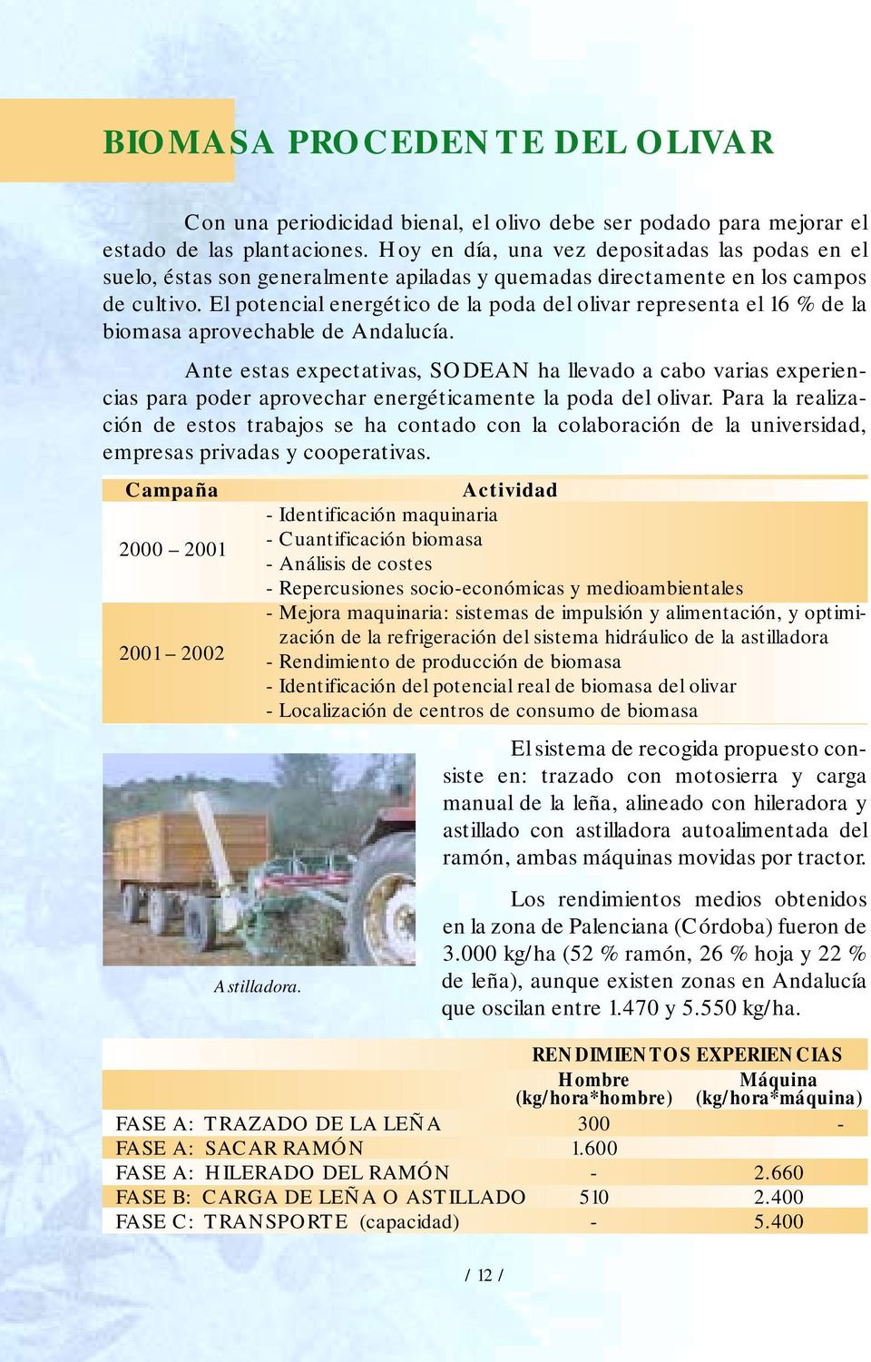 El potencial energético de la poda del olivar representa el 16 % de la biomasa aprovechable de Andalucía.
