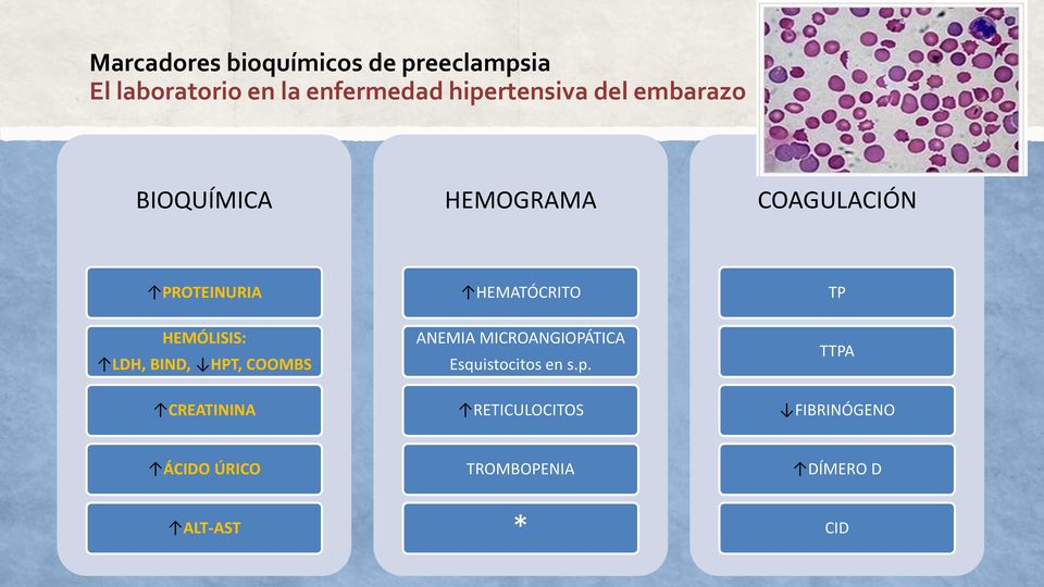 HPT, COOMBS ANEMIA MICROANGIOPÁTICA Esquistocitos en s.p.