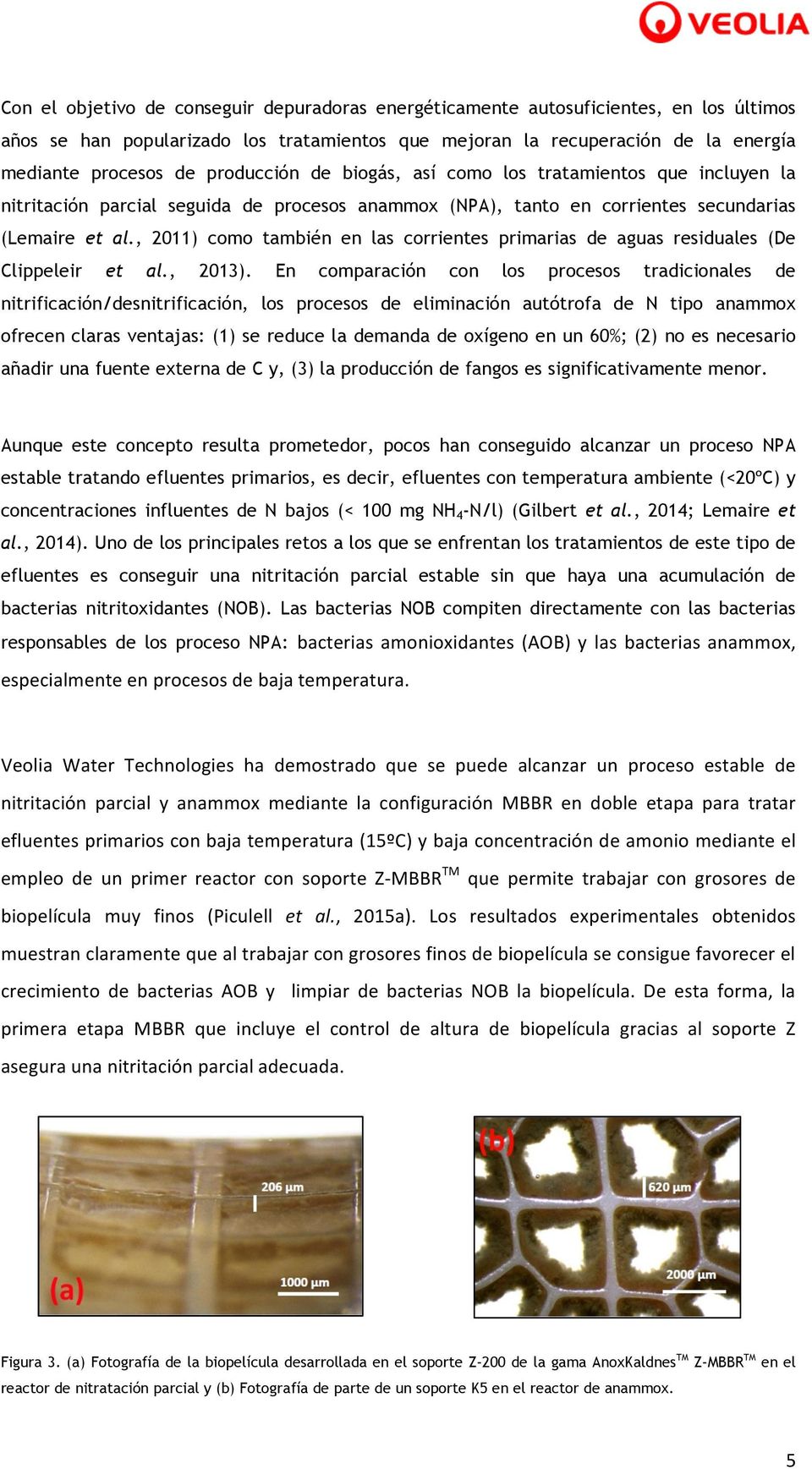 , 2011) como también en las corrientes primarias de aguas residuales (De Clippeleir et al., 2013).