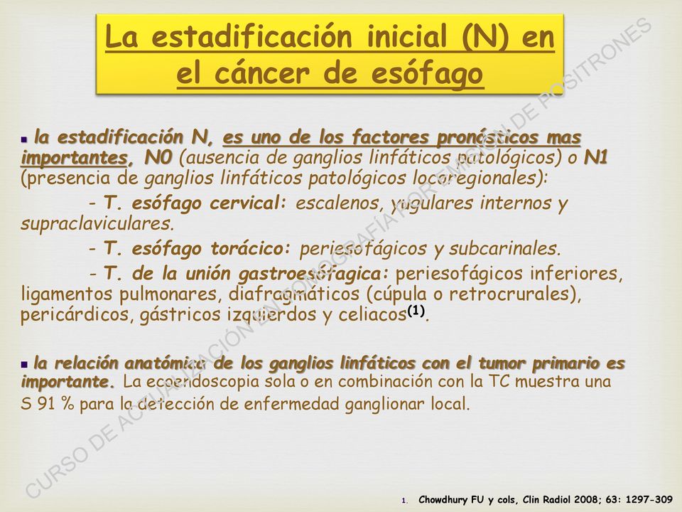 esófago cervical: escalenos, yugulares internos y supraclaviculares. - T.