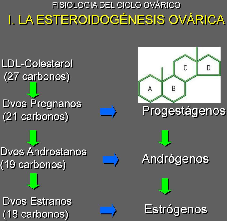 carbonos) Dvos Pregnanos (21 carbonos) Progestágenos