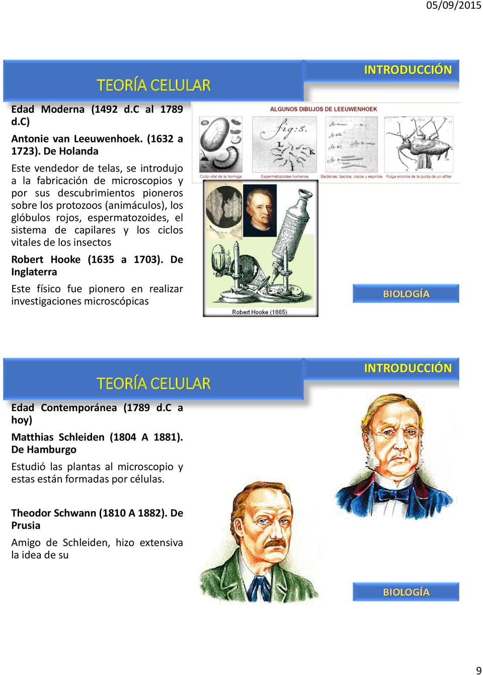 espermatozoides, el sistema de capilares y los ciclos vitales de los insectos Robert Hooke (1635 a 1703).