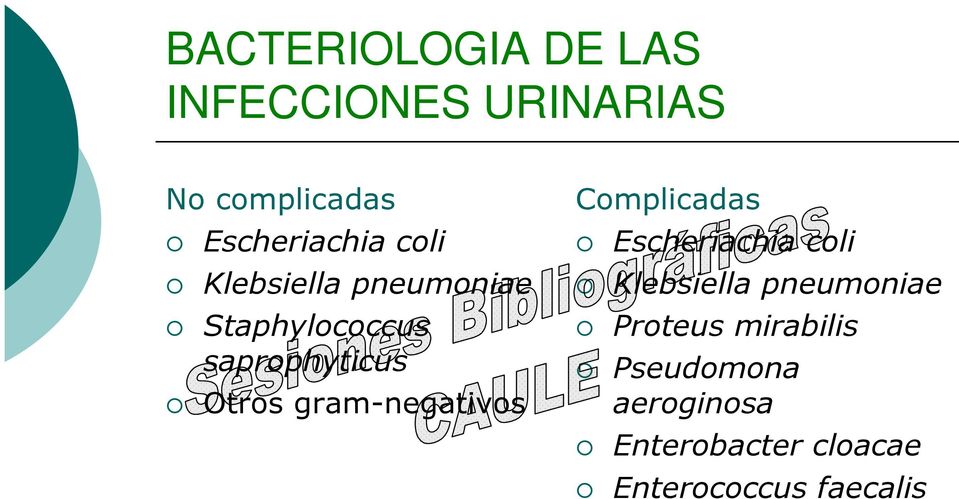 gram-negativos Complicadas Escheriachia coli Klebsiella pneumoniae