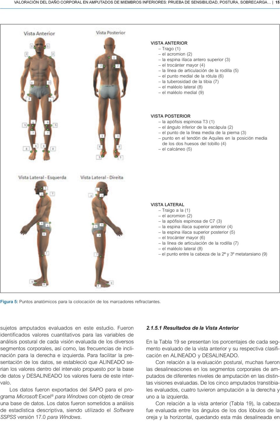 espinosa T3 (1) el ángulo inferior de la escápula (2) el punto de la línea media de la pierna (3) punto en el tendón de Aquiles en la posición media de los dos huesos del tobillo (4) el calcáneo (5)