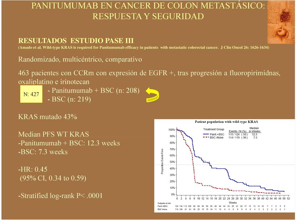 J Clin Oncol 26: 1626-1634) Randomizado, multicéntrico, comparativo 463 pacientes con CCRm con expresión de EGFR +, tras