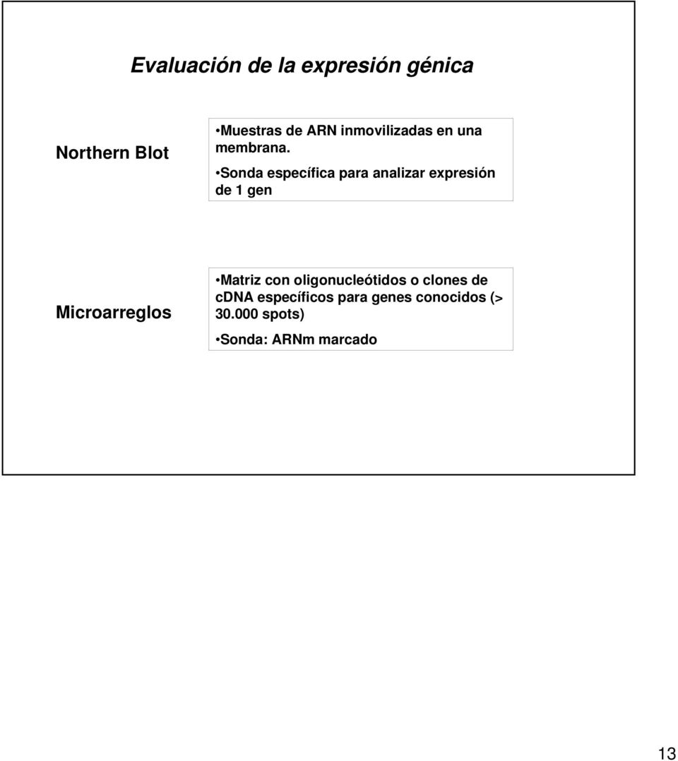 Sonda específica para analizar expresión de 1 gen Microarreglos