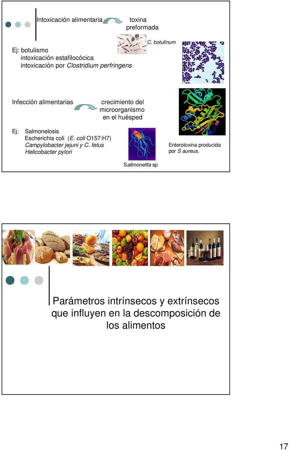botulinum Infección alimentarias crecimiento del microorganismo en el huésped Ej: Salmonelosis Escherichia coli