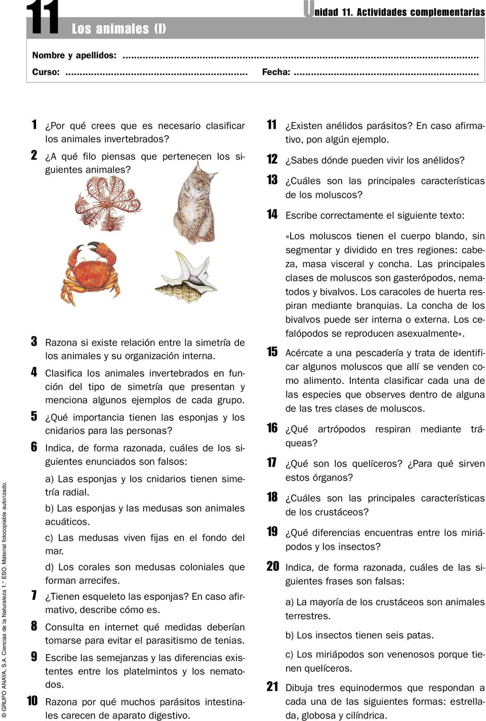13 Cuáles son las principales características de los moluscos? 14 Escribe correctamente el siguiente texto: 3 Razona si existe relación entre la simetría de los animales y su organización interna.