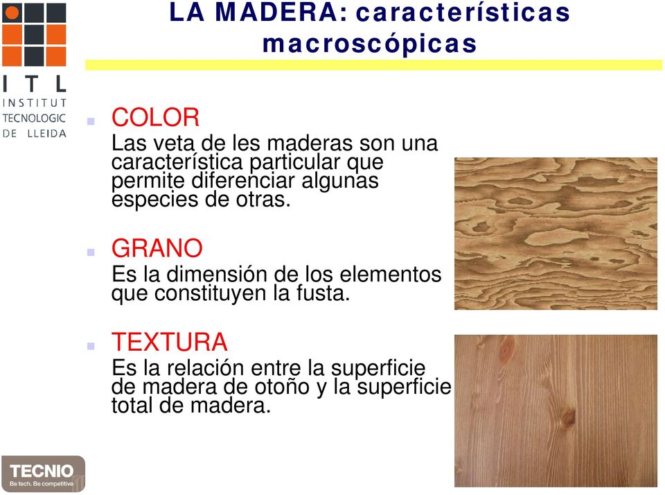 GRANO Es la dimensión de los elementos que constituyen la fusta.