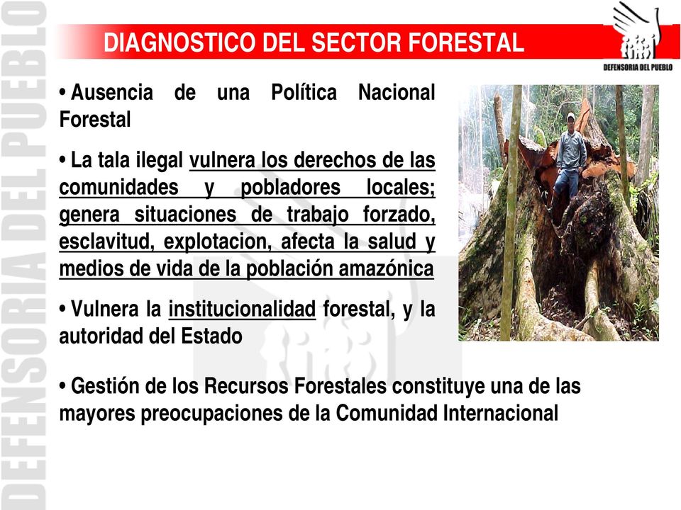 la salud y medios de vida de la población amazónica Vulnera la institucionalidad forestal, y la autoridad del