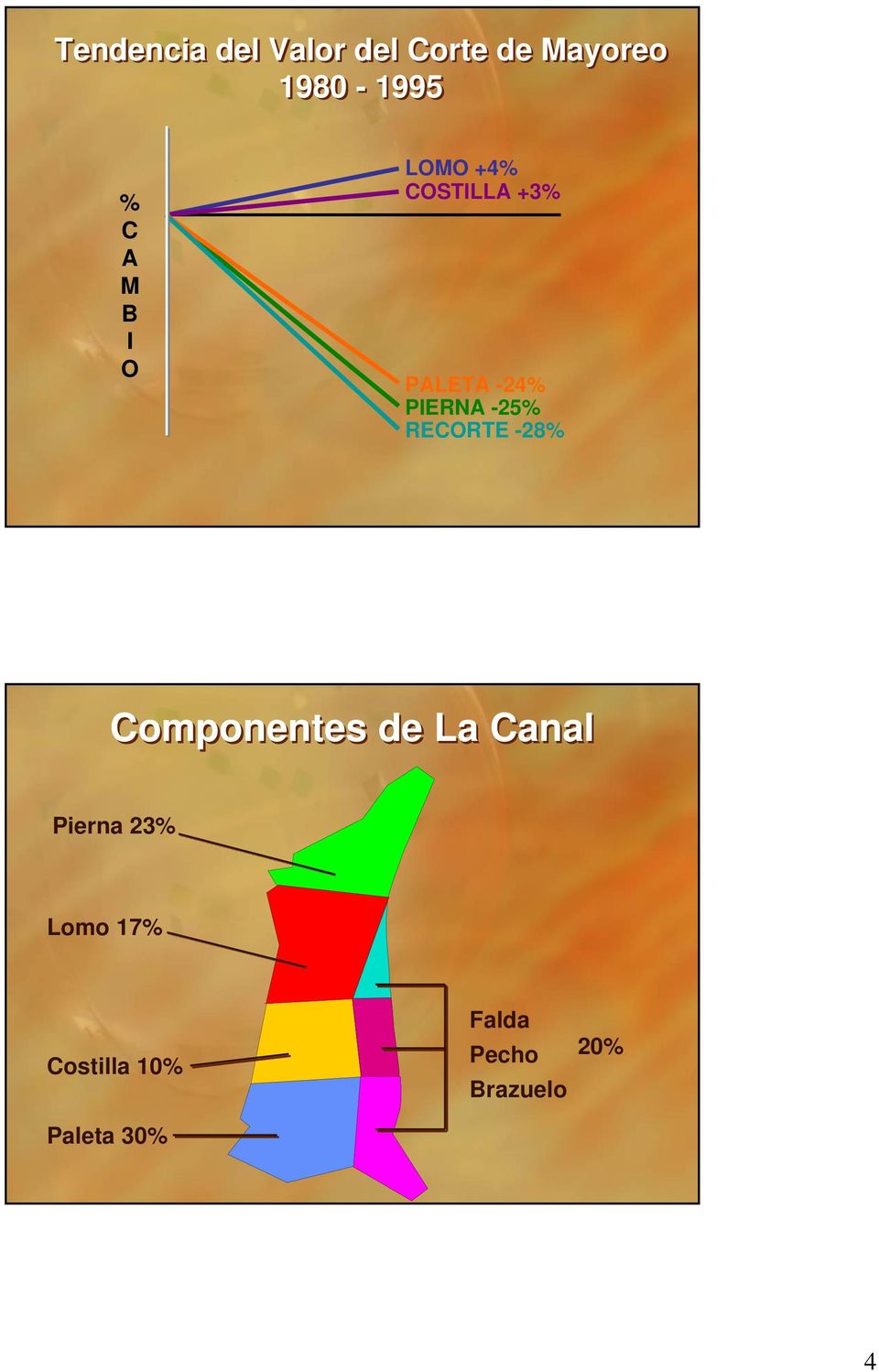 -25% RECORTE -28% Componentes de La Canal Pierna 23%