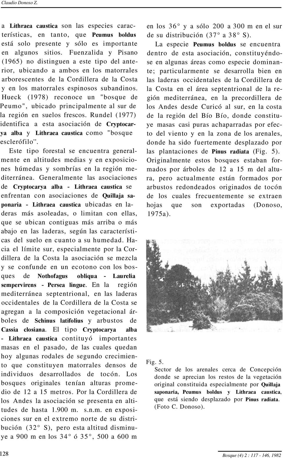 Hueck (1978) reconoce un "bosque de Peumo", ubicado principalmente al sur de la región en suelos frescos.