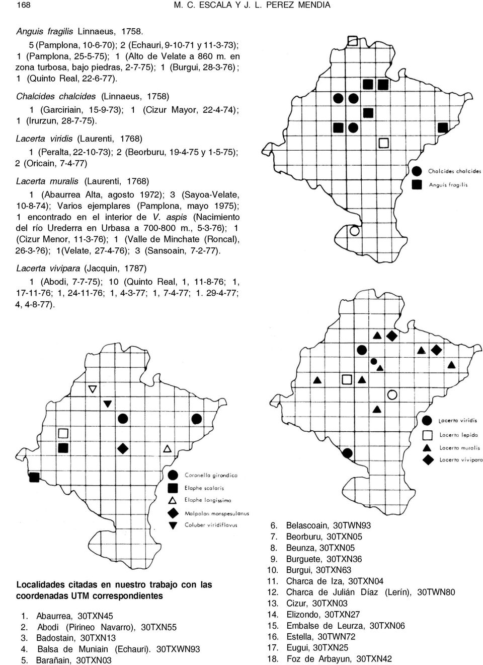 Lacerta viridis (Laurenti, 1768) 1 (Peralta, 22-10-73); 2 (Beorburu, 19-4-75 y 1-5-75); 2 (Oricain, 7-4-77) Lacerta muralis (Laurenti, 1768) 1 (Abaurrea Alta, agosto 1972); 3 (Sayoa-Velate, 10-8-74);