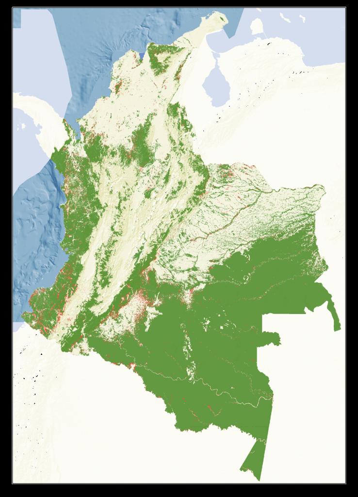 Áreas de bosque Áreas deforestadas Áreas con plantaciones forestales comerciales Áreas con cultivos transitorios, permanentes y agrícolas heterogéneas Áreas con pastos Áreas de cultivo de palma de