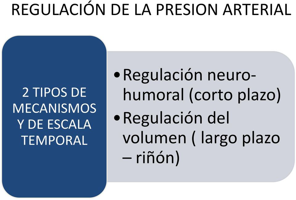 TEMPORAL Regulación neurohumoral (corto
