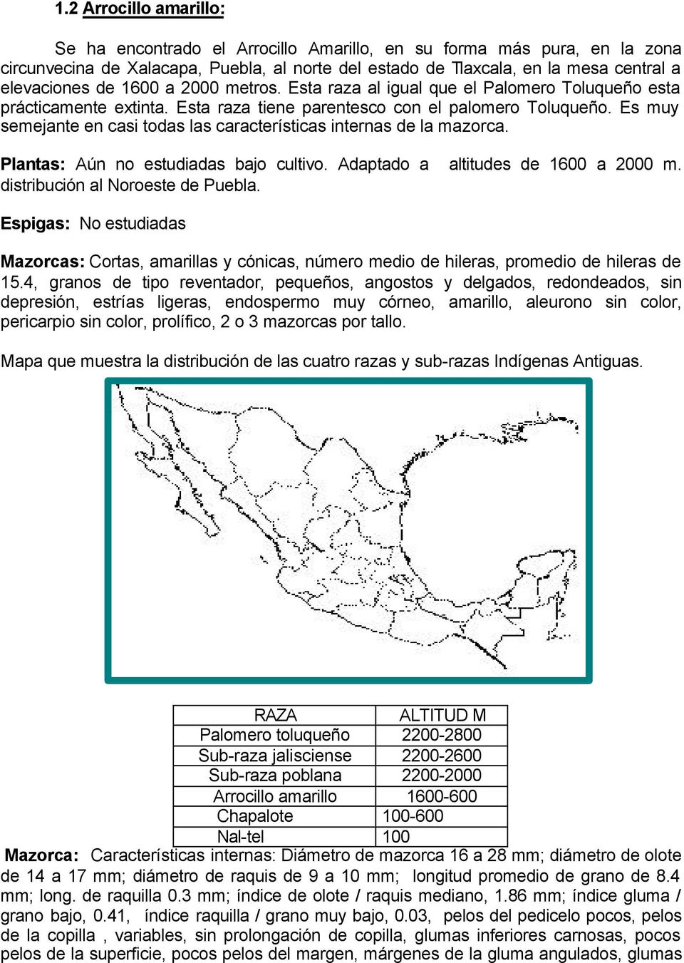 Es muy semejante en casi todas las características internas de la mazorca. Plantas: Aún no estudiadas bajo cultivo. Adaptado a altitudes de 1600 a 2000 m. distribución al Noroeste de Puebla.