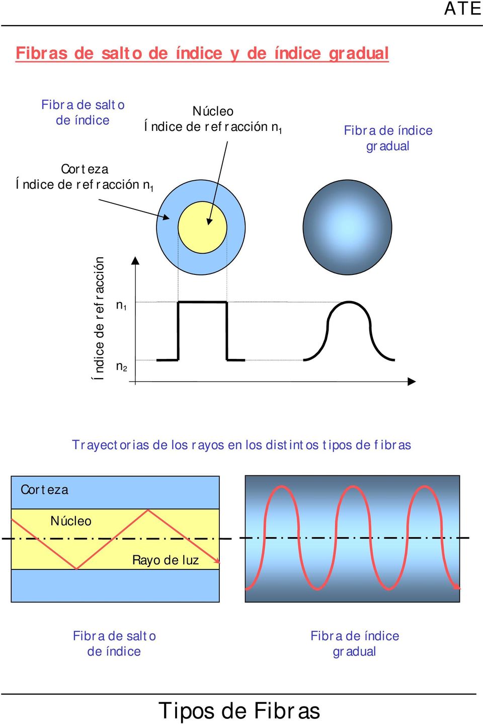 Índice de refracción n 1 n 2 Trayectorias de los rayos en los distintos tipos de