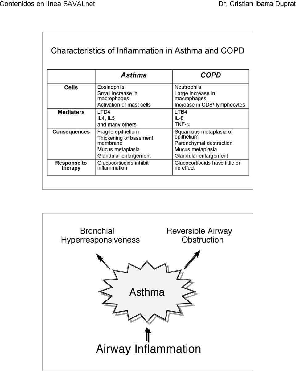 inflammation COPD Neutrophils Large increase in macrophages Increase in CD8 + lymphocytes LTB4 IL-8 TNF-!
