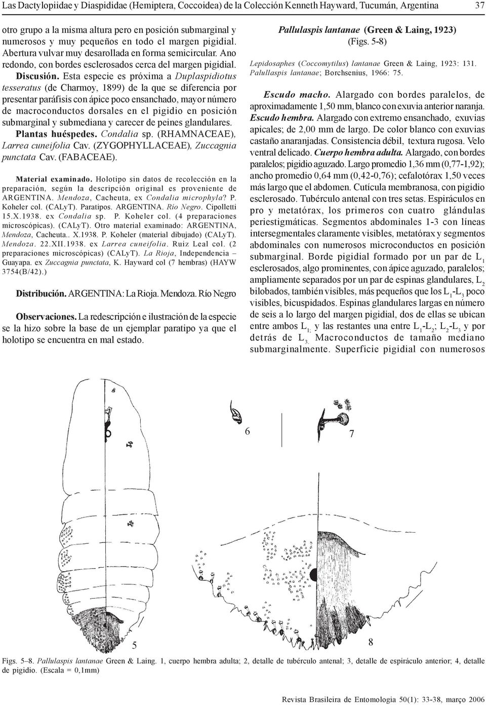 Esta especie es próxima a Duplaspidiotus tesseratus (de Charmoy, 1899) de la que se diferencia por presentar paráfisis con ápice poco ensanchado, mayor número de macroconductos dorsales en el pigidio