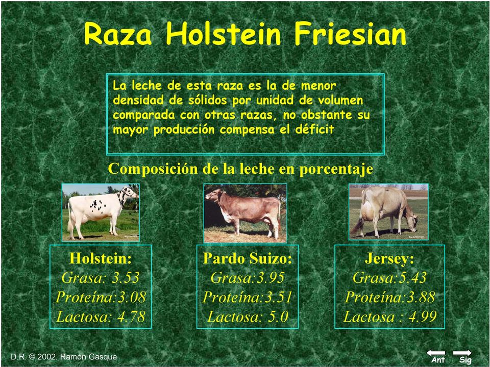 Composición de la leche en porcentaje Holstein: Grasa: 3.53 Proteína:3.08 Lactosa: 4.