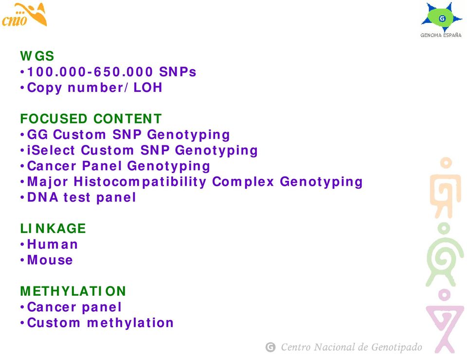 Genotyping iselect Custom SNP Genotyping Cancer Panel Genotyping