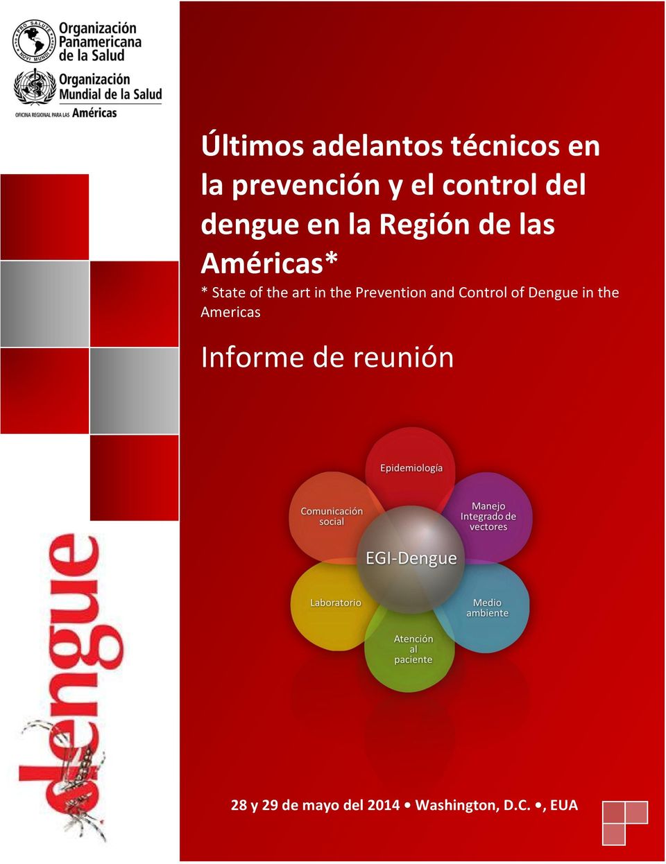 in the Prevention and Control of Dengue in the Americas