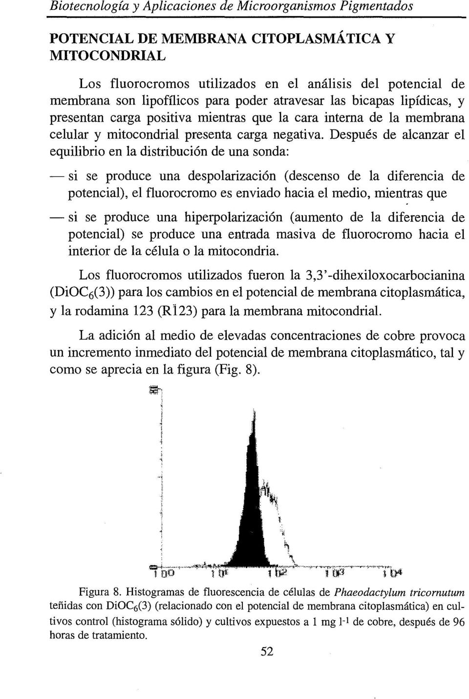 Después de alcanzar el equilibrio en la distribución de una sonda: - si se produce una despolarización (descenso de la diferencia de potencial), el fluorocromo es enviado hacia el medio, mientras que