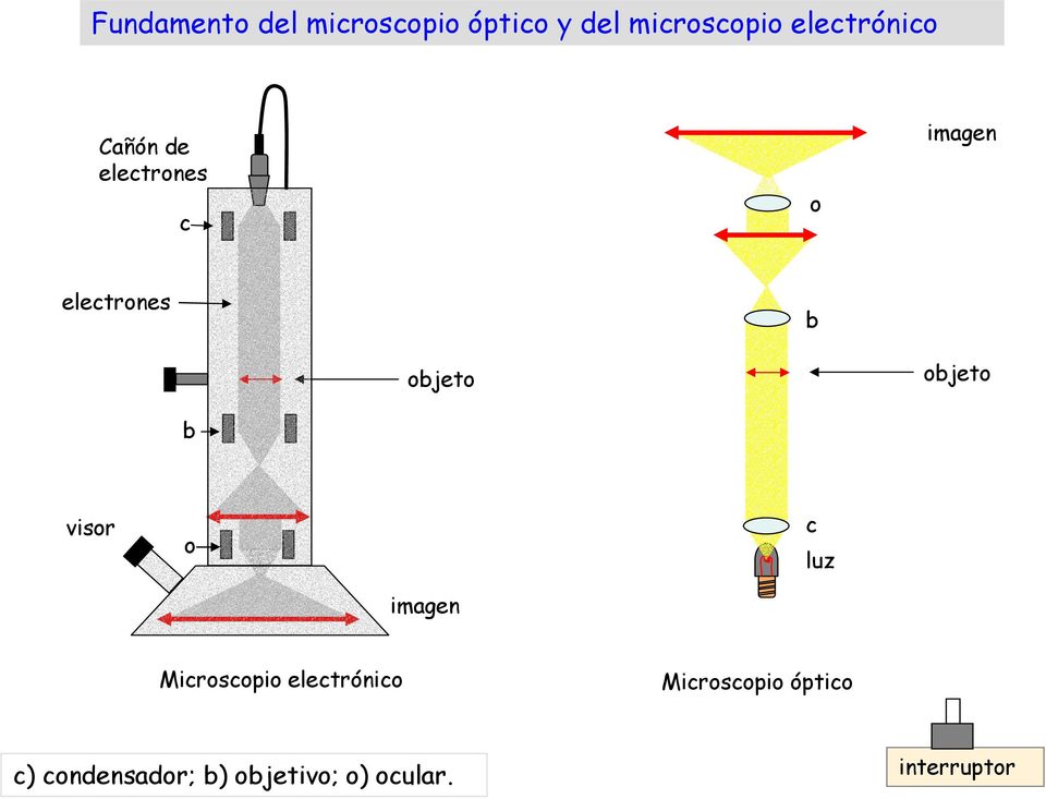 objeto objeto b visor o c luz imagen Microscopio