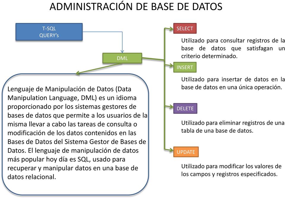 las tareas de consulta o modificación de los datos contenidos en las Bases de Datos del Sistema Gestor de Bases de Datos.