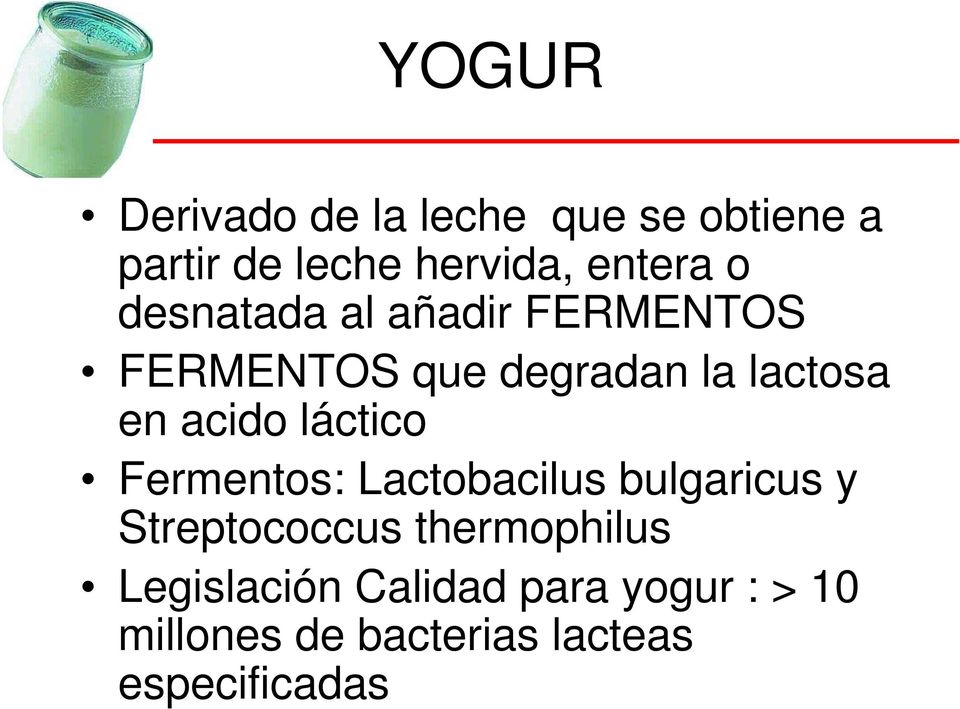 láctico Fermentos: Lactobacilus bulgaricus y Streptococcus thermophilus
