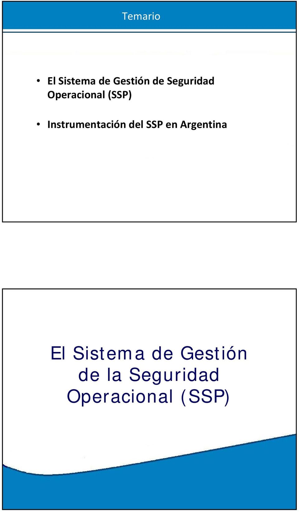 Instrumentación del SSP en Argentina